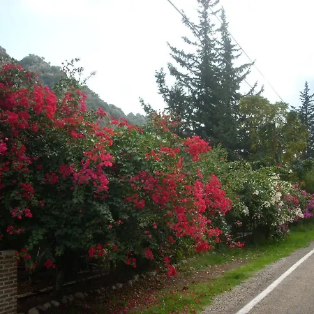 Narcicegi Parque de vacaciones