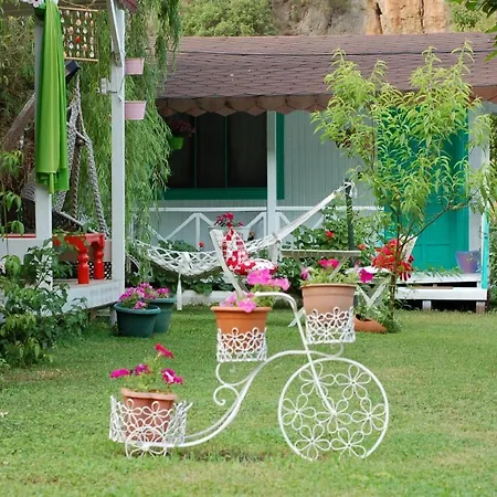 Narcicegi Parque de vacaciones *