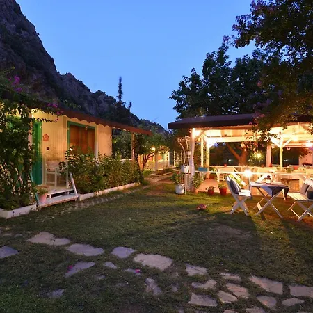 Parque de vacaciones Narcicegi *