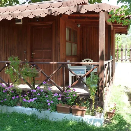 Parque de vacaciones Narcicegi *