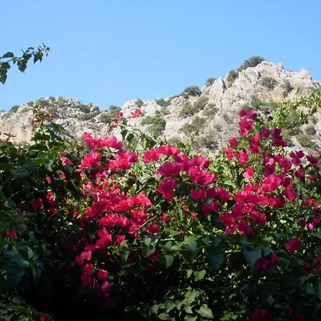 Narcicegi Parc de vacanță *