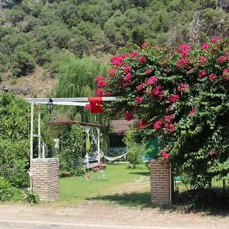 Narcicegi Parc de vacanță