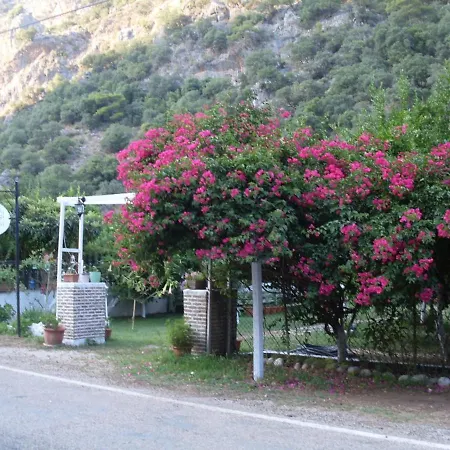 Πάρκο διακοπών Narcicegi Çıralı