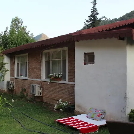 Narcicegi Parc de vacanță *