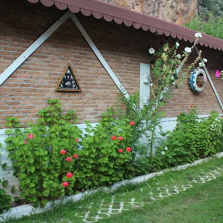 Narcicegi Parc de vacanță Çıralı