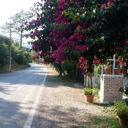 Narcicegi Parc de vacanță Çıralı
