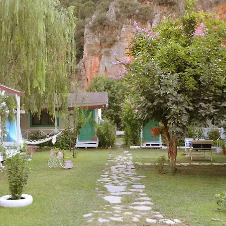 Narcicegi Parc de vacanță *