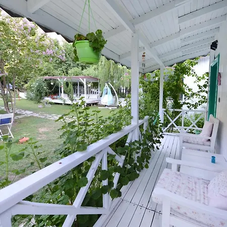 Parc de vacanță Narcicegi