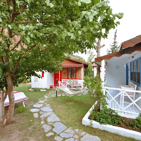 Parc de vacanță Narcicegi