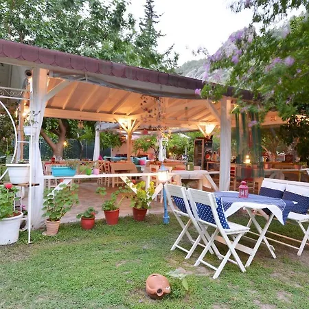 Πάρκο διακοπών Narcicegi Çıralı