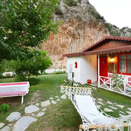 Narcicegi Parc de vacanță Çıralı