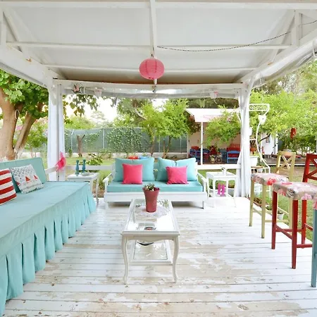 Narcicegi * Çıralı