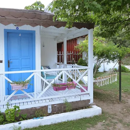 Narcicegi * Çıralı