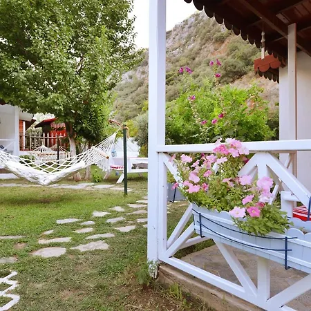 Parc de vacanță Narcicegi Çıralı