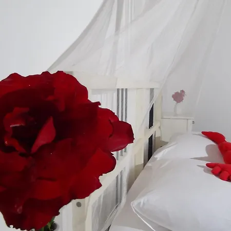 Parc de vacanță Narcicegi