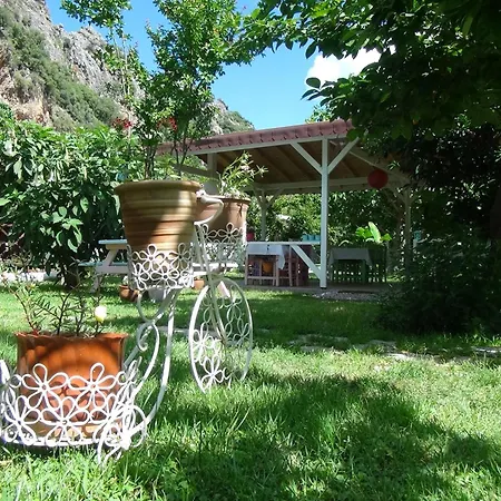 Parc de vacanță Narcicegi