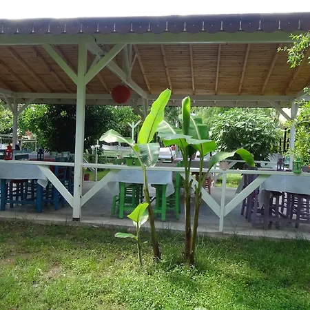 Parc de vacanță Narcicegi Çıralı