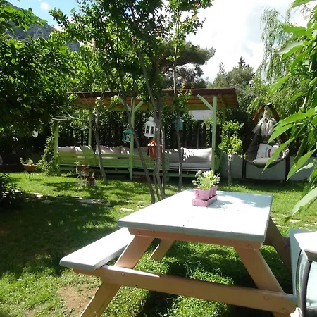 Parc de vacanță Narcicegi