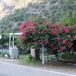 Tatil parkı Narcicegi Çıralı
