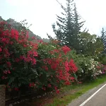 Narcicegi Tatil parkı