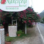Narcicegi