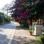 Narcicegi Tatil parkı Çıralı
