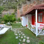Narcicegi