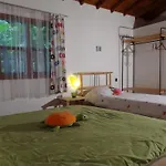Narcicegi
